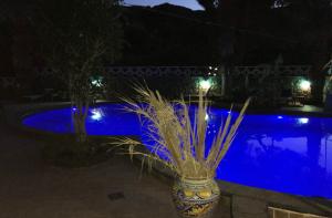 Vacanza settimanale